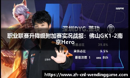 职业联赛升降级附加赛实况战报：佛山GK1-2南京Hero