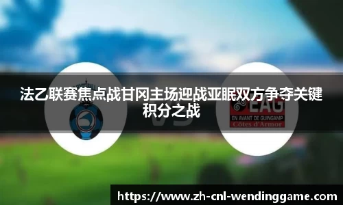 法乙联赛焦点战甘冈主场迎战亚眠双方争夺关键积分之战